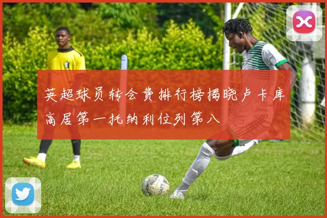 英超球员转会费排行榜揭晓卢卡库高居第一托纳利位列第八
